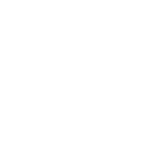 The Good Trip